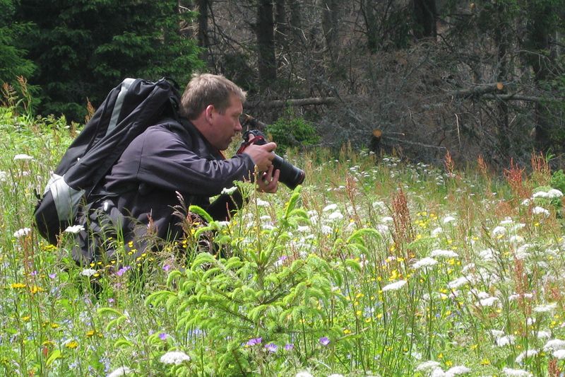 Andrew Kelly, Wildlife Photographer