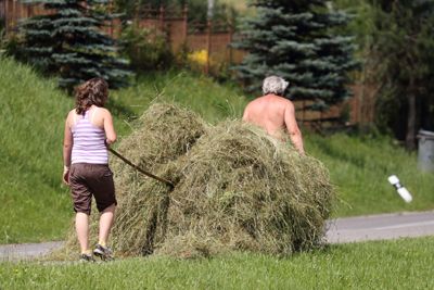 Transporting Hay