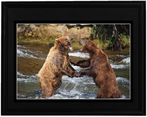Framed Brown Bears