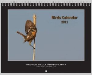 Birds Calendar 2011