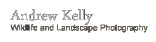 Andrew kelly Wildlife and Landscape Photography