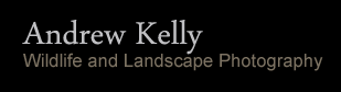 Andrew Kelly Wildlife and Landscape Photography